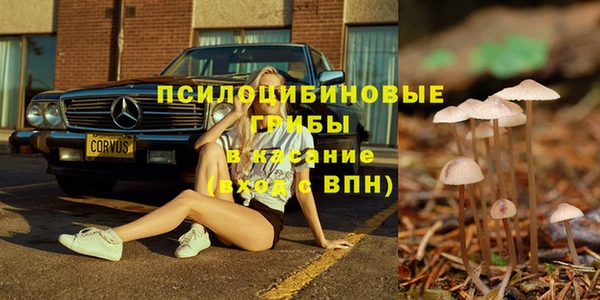 СК Арсеньев